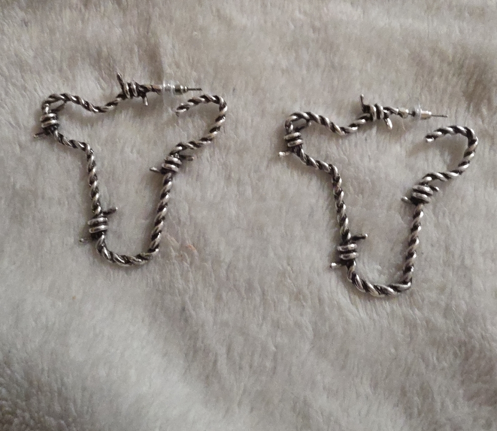 Silver Twisted Wire Earrings